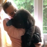 Превью фото № 242335