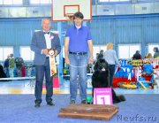 Превью фото № 242355