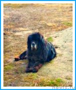 Превью фото № 242369