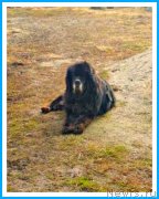 Превью фото № 242370