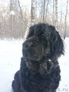 Превью фото № 242377