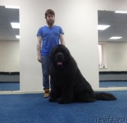 Превью фото № 242388