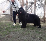 Превью фото № 242395