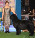 Превью фото № 24242