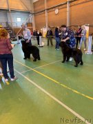 Превью фото № 242422