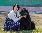 Превью фото № 242444