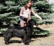 Превью фото № 242462