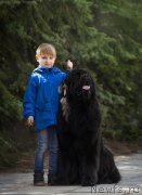 Превью фото № 242466