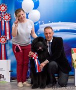 Превью фото № 242468