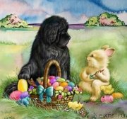 Превью фото № 242470