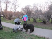 Превью фото № 242495