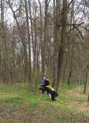 Превью фото № 242515