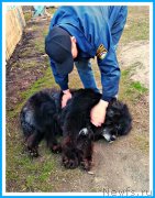 Превью фото № 242554