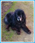 Превью фото № 242555