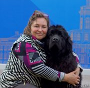 Превью фото № 242564