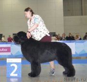 Превью фото № 242607