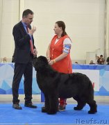 Превью фото № 242612