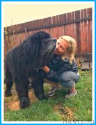 Превью фото № 242628