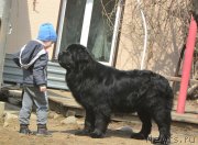 Превью фото № 242633