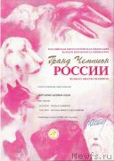 Превью фото № 242662