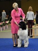 Превью фото № 242681