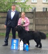 Превью фото № 242705