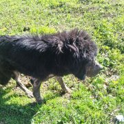 Превью фото № 242711