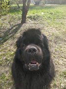 Превью фото № 242714