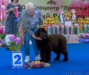 Превью фото № 242724