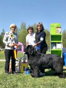 Превью фото № 242745