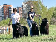 Превью фото № 242747