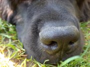 Превью фото № 242827