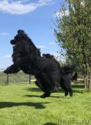 Превью фото № 242838