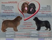 Превью фото № 242859