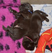 Превью фото № 242867