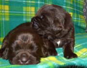 Превью фото № 242876