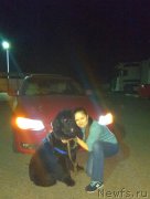 Превью фото № 242936