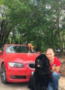 Превью фото № 242943