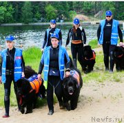 Превью фото № 242947