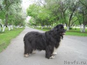 Превью фото № 242955