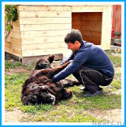 Превью фото № 242963