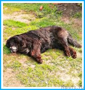 Превью фото № 242973