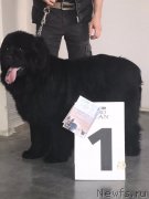 Превью фото № 242990