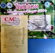 Превью фото № 243095