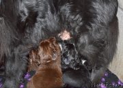 Превью фото № 243117