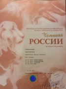 Превью фото № 243122