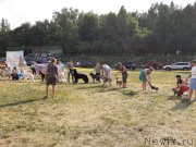 Превью фото № 243166