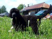 Превью фото № 243191