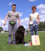 Превью фото № 243236