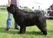 Превью фото № 243237